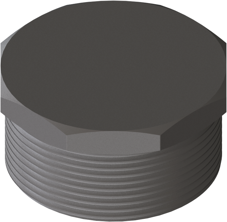 Plug-threaded_SS_G2m