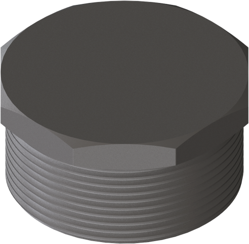 [08.2299.10] Mounting Adapter Plug-threaded SS G2m